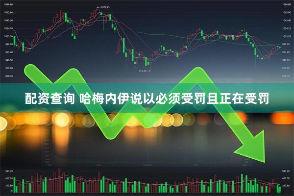 配资查询 哈梅内伊说以必须受罚且正在受罚