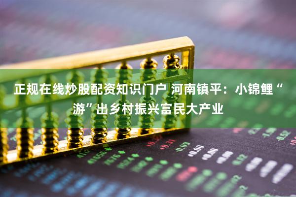 正规在线炒股配资知识门户 河南镇平：小锦鲤“游”出乡村振兴富民大产业